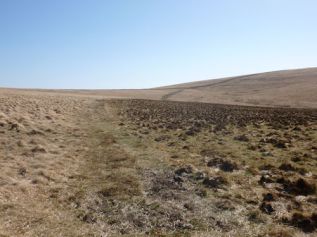 Stones Grey Wethers 1