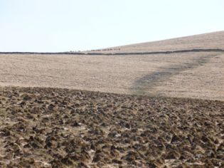 Stones Grey Wethers 2