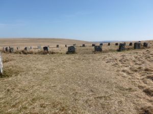 Stones Grey Wethers 4