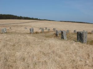 Stones Grey Wethers 5