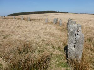 Stones Grey Wethers 7