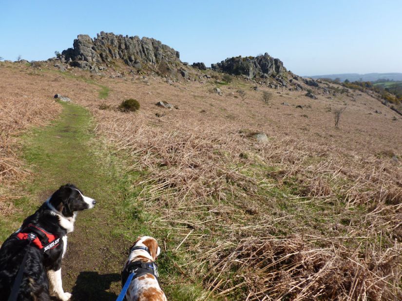 Bru + Mu Greator Rocks